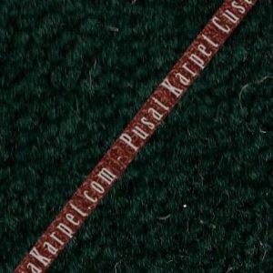 karpet_kantor_ba_50e7d266b2fcd.jpg