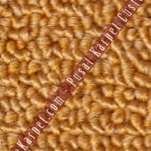 karpet_kantor_ba_50e7d7a51cb3d.jpg