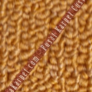karpet_kantor_cr_50e7ed4d27bde.jpg