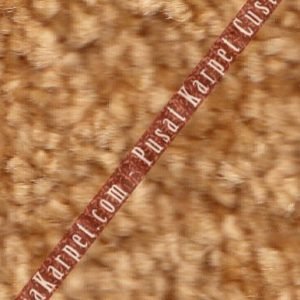 karpet_kantor_vi_50e922a15e7aa.jpg